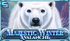 Majestic Winter Majestic Winter